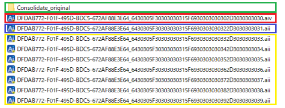 2.FirstConsolidation-Keep_original_image_files.png
